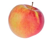 Äpfel Gravensteiner