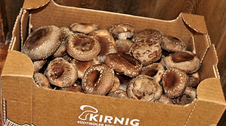 Kirnig: Funghi nobili dell'Alto Adige