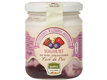 Waldfrüchte Joghurt